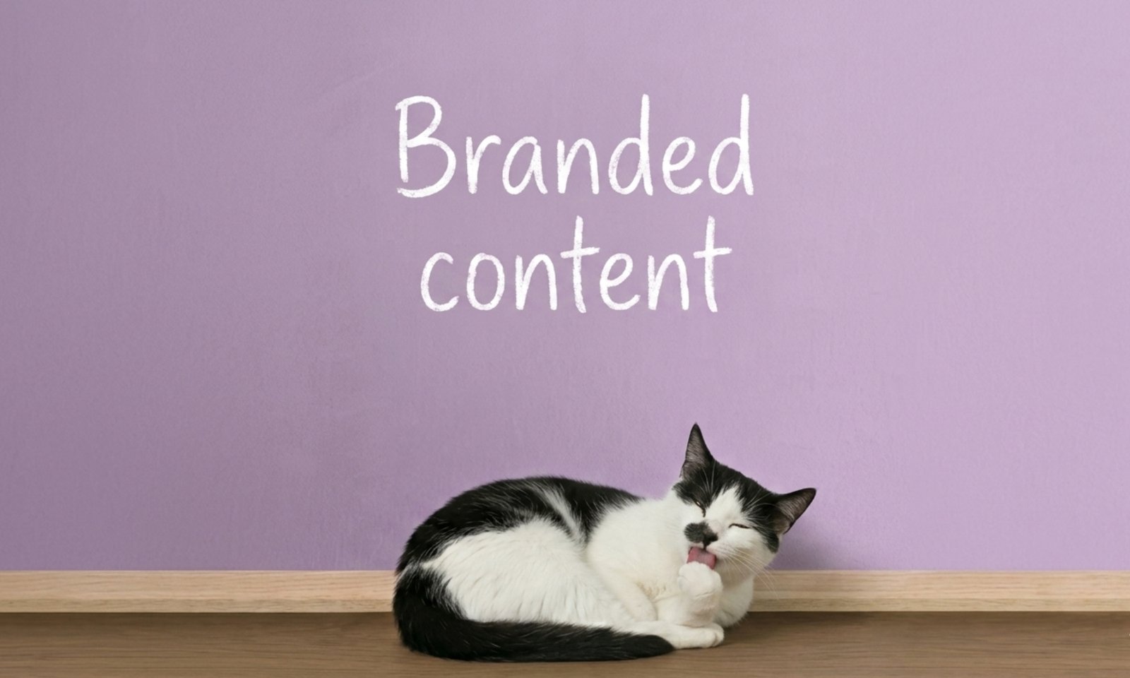 Elvira Durango - Branded Content